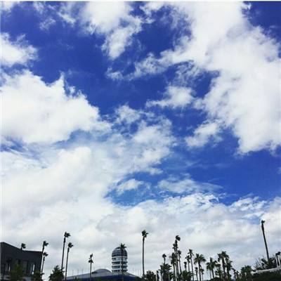 开元88ky游戏大厅截图