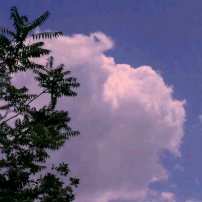 环球体育app最新版下载